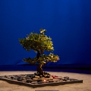 Le dodo et le voyageur, Amin Théâtre - Photo © Ernesto Timor