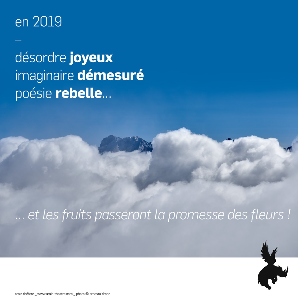 voeux 2019 de l'Amin Théâtre - Photo et graphisme © Ernesto Timor