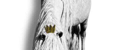 Cheval ou l’histoire d’un roi moche (hyper moche), la cie Echos Tangibles répète au TAG